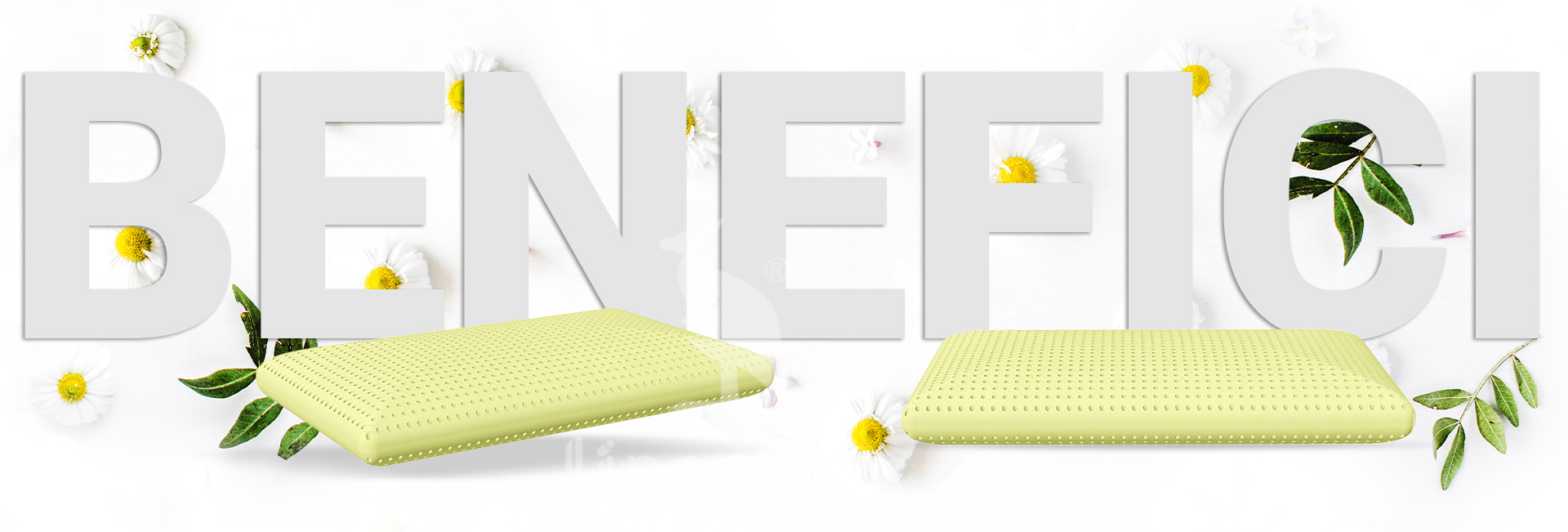 Benefici_AromatherapyCamomillai