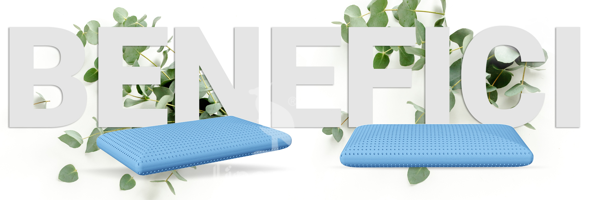 Benefici_AromatherapyEucalipto