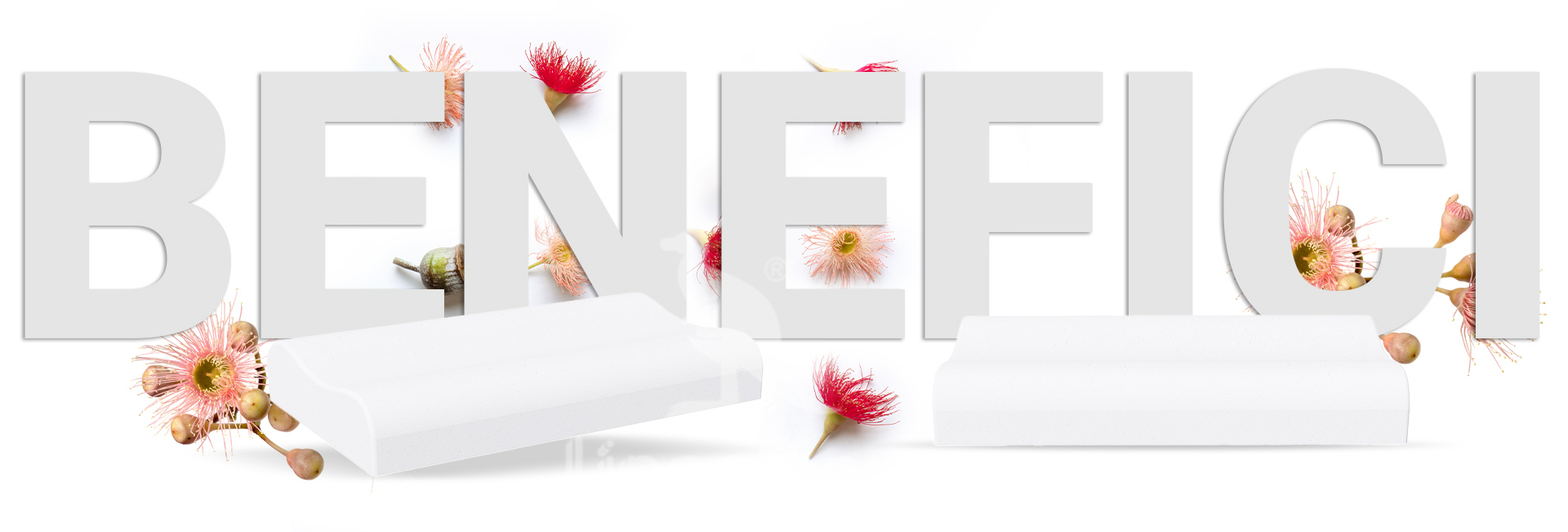 Benefici_BiomemoryOrto