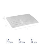 Guanciale Lattice Ipoallergenico Saponetta - immagine 3