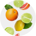 Icona_Agrumi